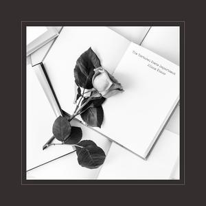 苏琪个人详细资料简介图片
