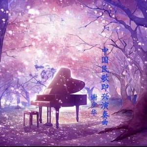 苏琪个人详细资料简介图片
