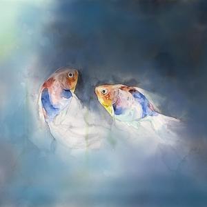 苏琪个人详细资料简介图片
